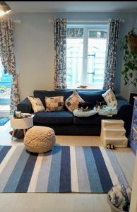 lounge and dogs 194x300 - Lounge - Shared Lives South West Carer Simone