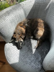 2019 Bubbles 225x300 - 2019 Bubbles