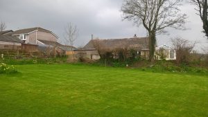 garden 300x169 - garden