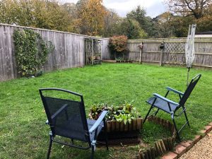 Sally 2019 Garden Budleigh Salterton 300x225 - Sally 2019 Garden - Budleigh Salterton