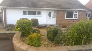 WIN 20180111 14 05 58 Pro 300x169 - House of Shared Lives South West Carer Kim