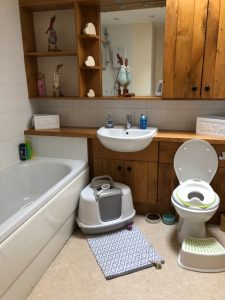 Bathroom 225x300 - Shared Lives South West Carer Melissa - Bathroom