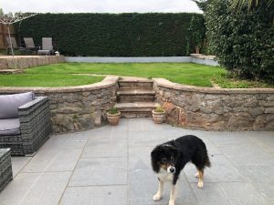 Garden2 and dog 300x225 - Garden and Dog of Shared Lives South West Carer Christine