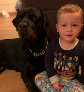 isaac and alfie 275x300 - Shared Lives South West Carer Melissa - son Isaac & Alfie the dog