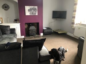 2020 11 11 Tracy lounge 300x225 - Lounge and dog of Shared Lives South West Carer Tracy