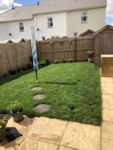 garden 225x300 - Garden of Shared Lives South West Carer Hazel