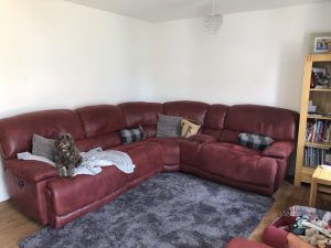 lounge 300x225 - Lounge of Shared Lives South West Carer Hazel