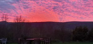 2021 sunset 300x142 - Sunset view - Shared Lives South West Carer Kinny