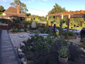 5 300x225 - Flowers of Shared Lives South West Carers Nicola & Roy