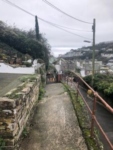 Vivienne Sullivan Path outside e1631875769666 225x300 - Path outside - Shared Lives South West Carer Viv