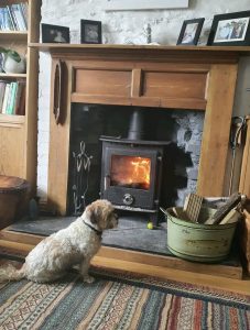 Vivienne Sullivan dog and fireplace 227x300 - Dog and fire place - Shared Lives South West Carer Viv
