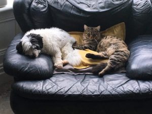 Image 1 300x225 - My Pets - Shared Lives South West Carer Maria