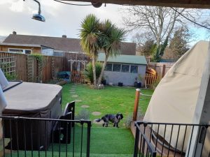 sue garden 300x225 - Garden - Shared Lives South West Carer Sue