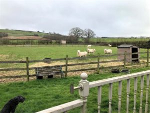 10. Outside 300x225 - Outside - Shared Lives South West Carers Allan & John