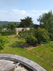 Garden 225x300 - Garden - Shared Lives South West Carer Sally