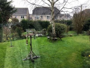 Garden 300x225 - Garden - Shared Lives South West Carer Liz