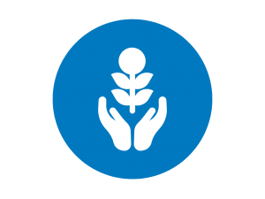 Untitled design 23 300x225 - Untitled design (23)